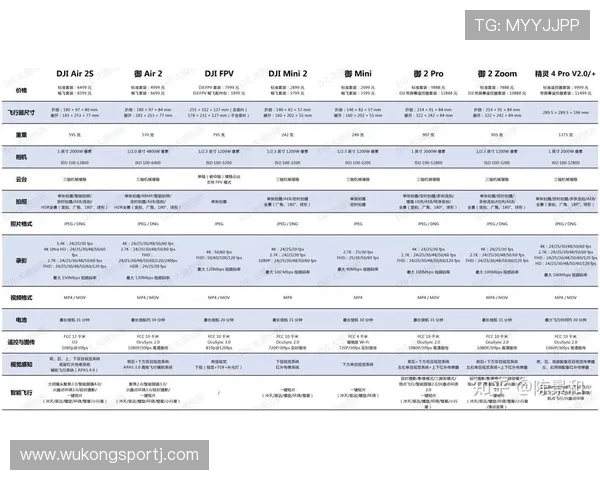 维尔茨与德布劳内：创造力对比及经验差距分析